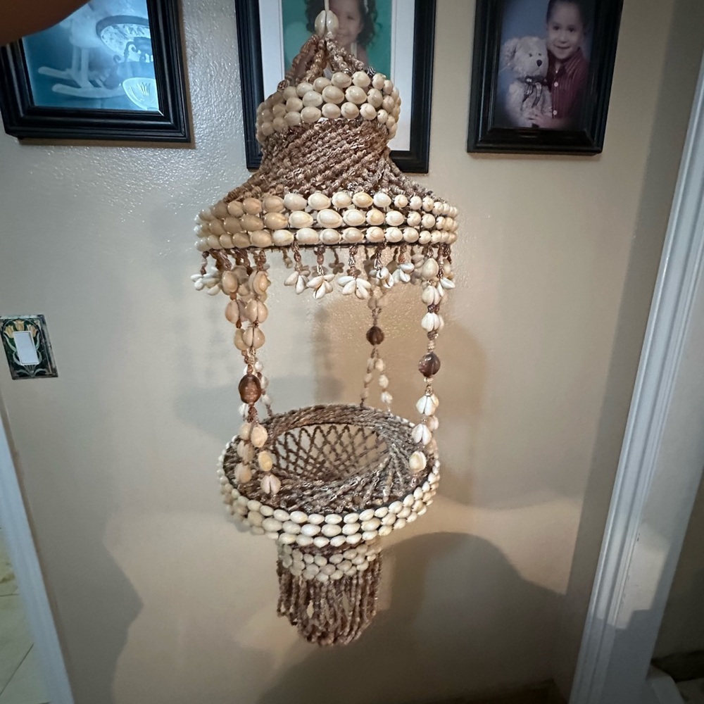 Vintage Cowrie Shell